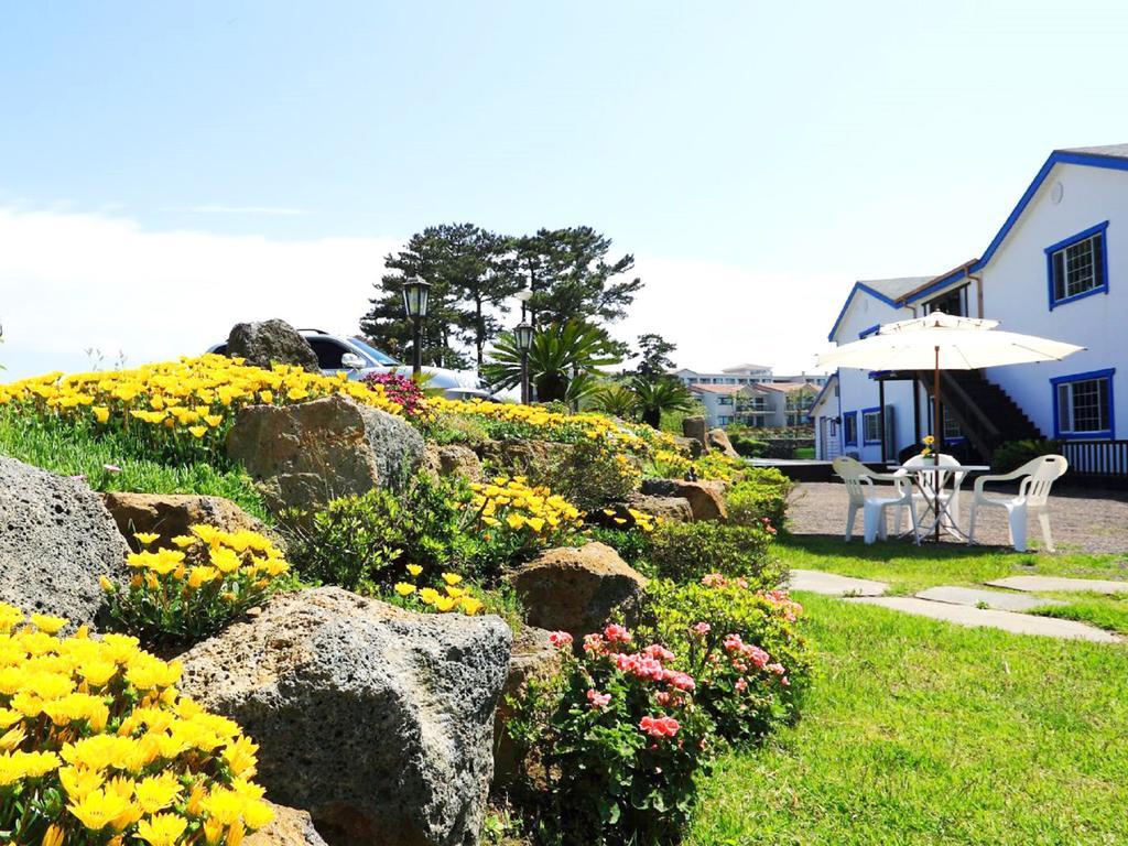 White dream Pension Jeju Exterior foto