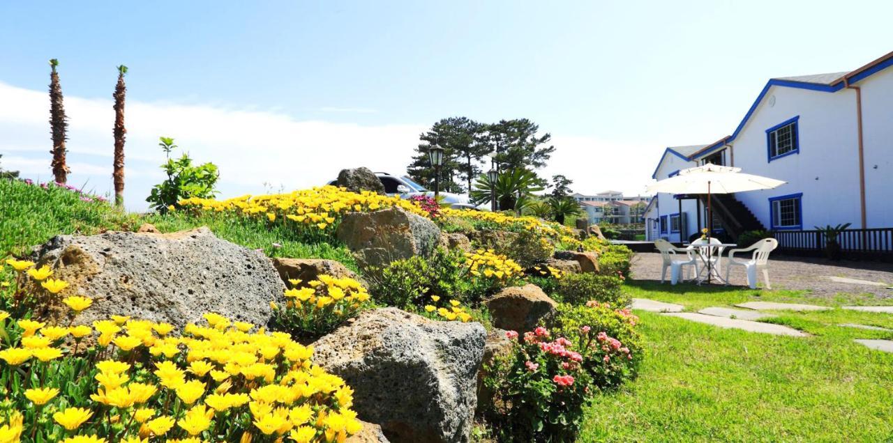 White dream Pension Jeju Exterior foto